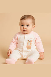Bear Hugs Baby Outfit