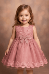 Girl Embroidered Pink Frock KDS 41
