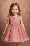 Girl Embroidered Pink Frock KDS 41
