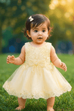 Girl Embroidered Yellow Frock KDS 46