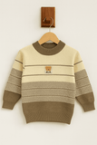 Boy Woollen Sweater KDC 016