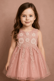 Girl Embroidered Pink Frock KDS 40