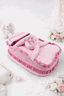 Hand Carry Baby Fancy Carry Crib - Kiddiesco