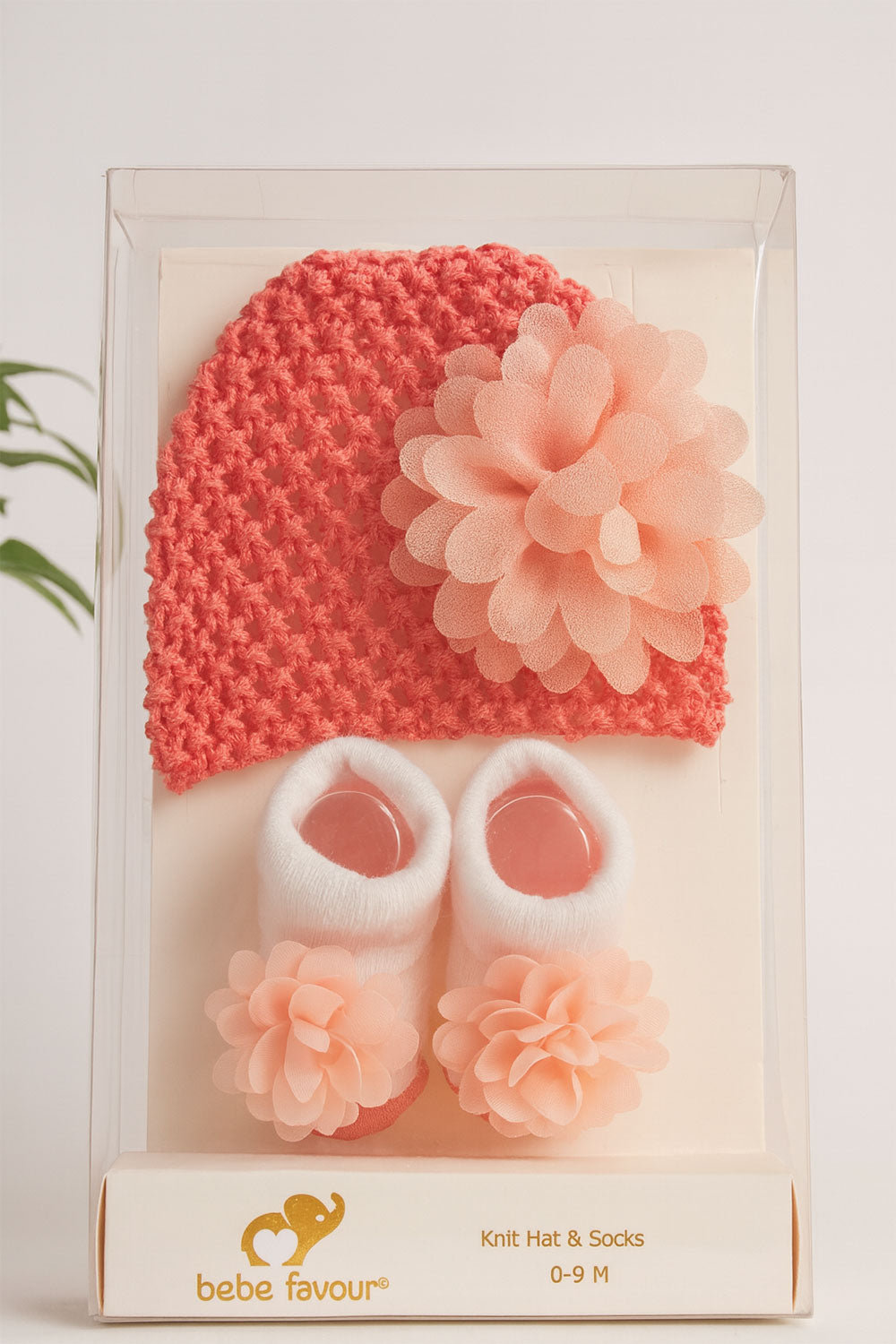Baby Hat and Socks with Flowers