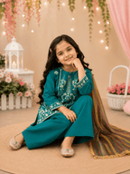 Girl Embroidered Fancy Suit - Kiddiesco