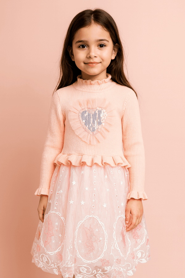 Girl Embroidered Frock KDS 59 - Kiddiesco