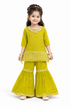Girl Embroidery Fancy Suit Set - Kiddiesco