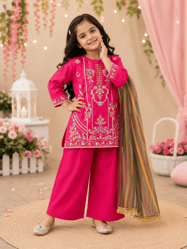Princess Embroidered Fancy Suit - Kiddiesco
